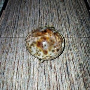 Vintage Shell coin purse